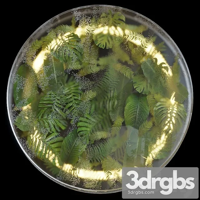 Greenbox – wall-mounted phytomodule with lighting vargov design