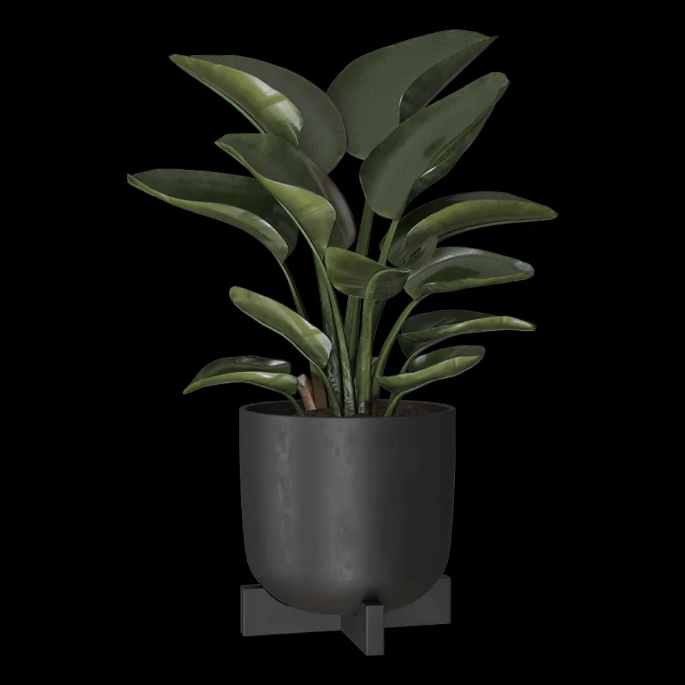 Greenmood – Planter Cruz 3ds Max
