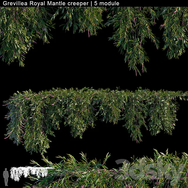 Grevillea Royal Mantle creeper | 5 module 3DSMax File