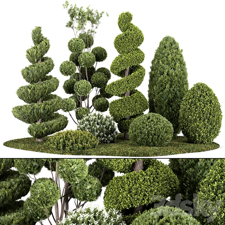 Group outdoor plants & Hedges 3DS Max Model