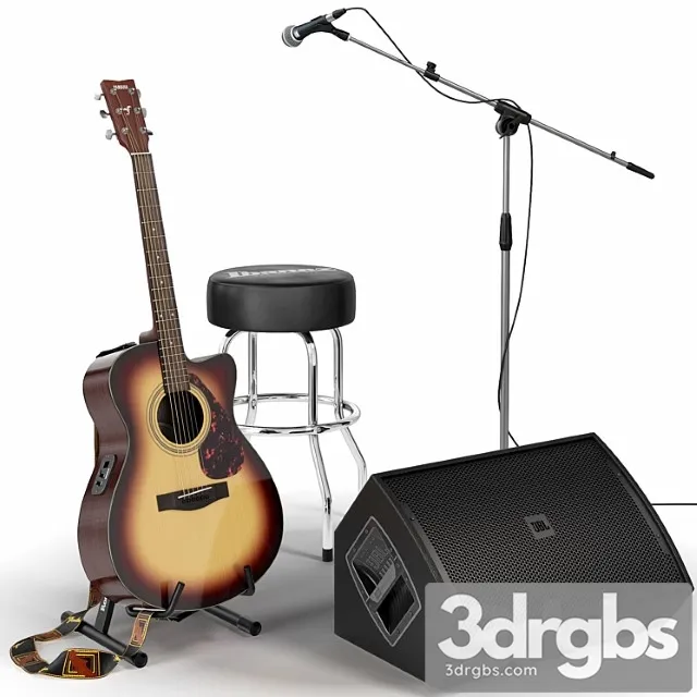 Guitar. guitar set for stage. musical instrument. microphone