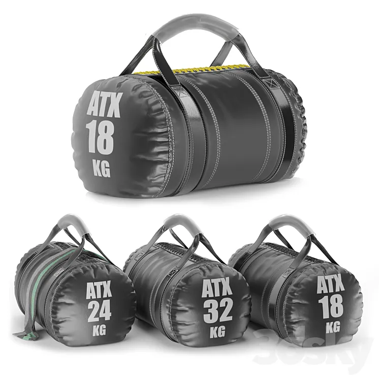 Gym Weight Atx Strongman Bag 3DS Max Model