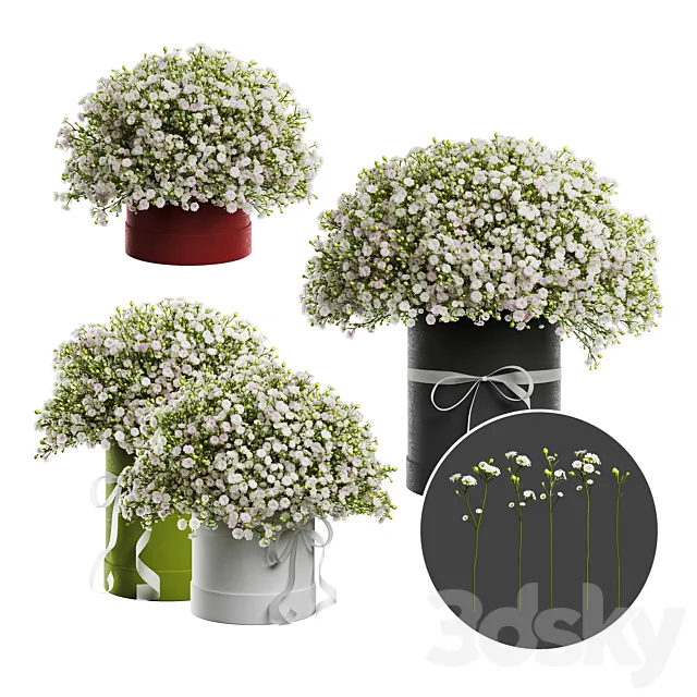 Gypsophila bouquet in a hat box 3DS Max Model