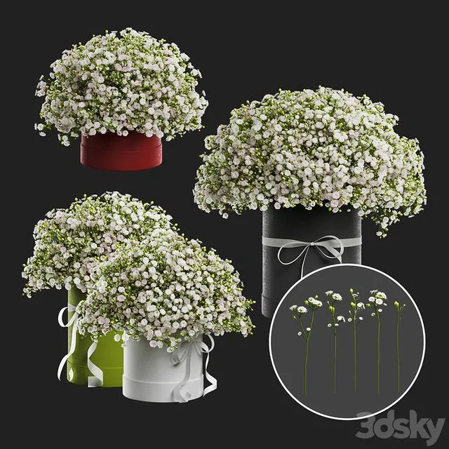 Gypsophila bouquet in a hat box 3dsMax Model