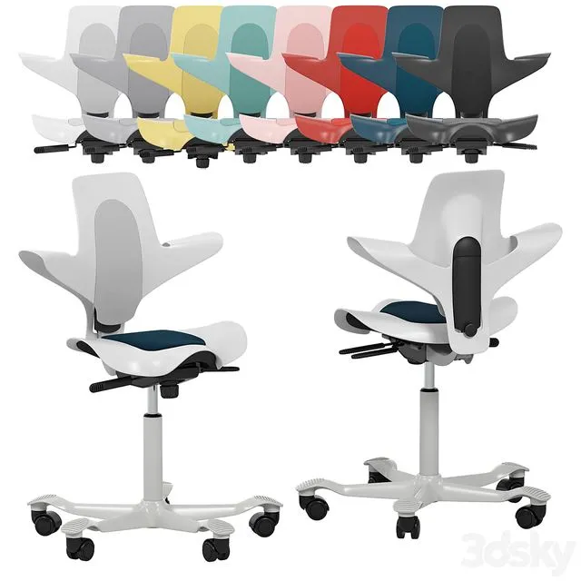 HAG Capisco Puls 8010 3dsMax Model