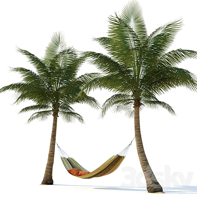 Hammock on palm trees 3DS Max Model