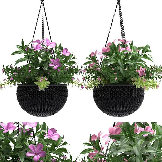 HANGING BASKET 3DSMax File