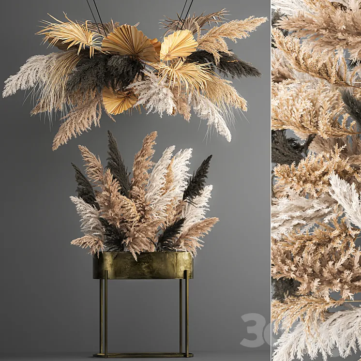 Hanging bouquet composition of dried flowers from pampas suspension dry palm leaf. 188. 3DS Max