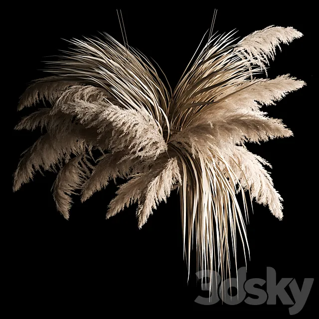 Hanging bouquet of dry reeds and pampas grass for decoration and interior. 266. 3ds Max