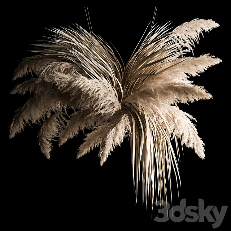 Hanging bouquet of dry reeds and pampas grass for decoration and interior. 266. 3DS Max