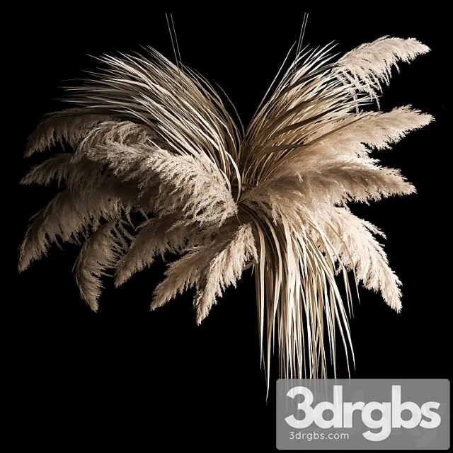 Hanging bouquet of dry reeds and pampas grass for decoration and interior. 266._1