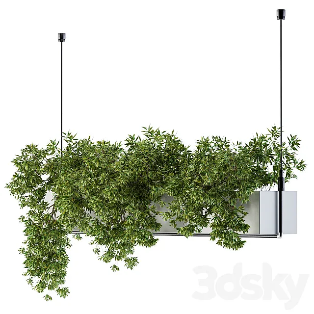 Hanging box plant 3DSMax File