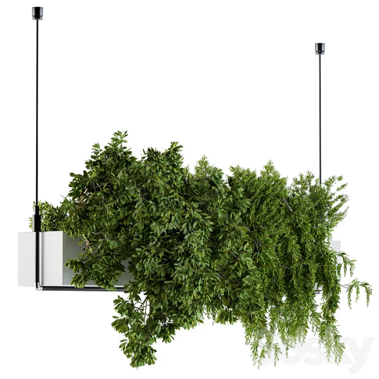 Hanging box plant – Set 70 3DS Max