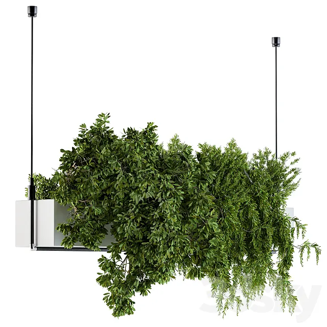 Hanging box plant – Set 70 3DSMax File