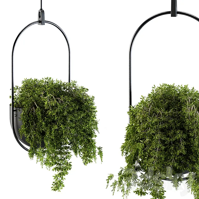 Hanging box plant – Set 83 3DS Max Model