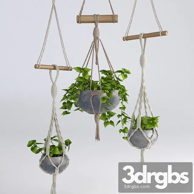 Hanging flowerpots