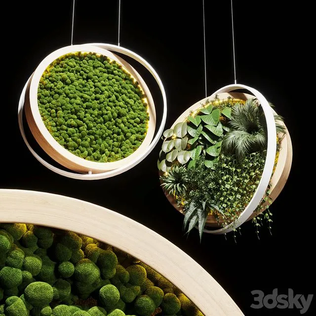 Hanging garden and hanging moss in wooden frame 218 3dsMax Model