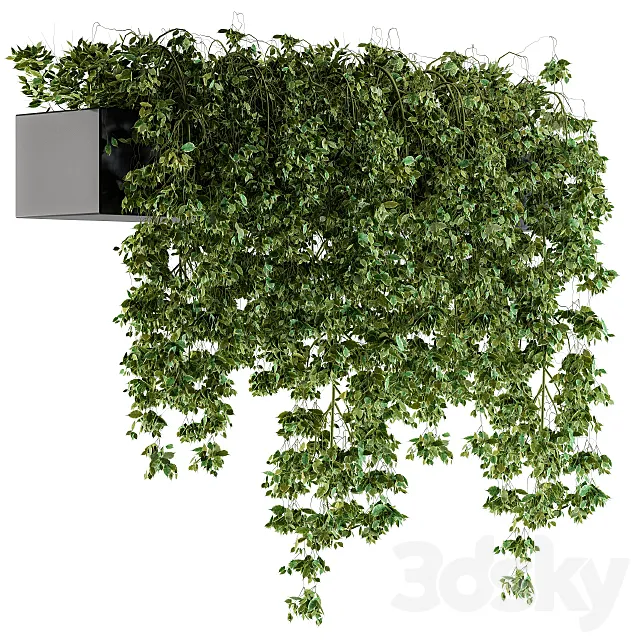 Hanging ivy Plants in Pot 3DSMax File