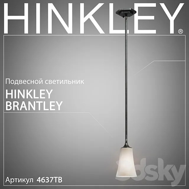 Hanging lamp Hinkley Brantley 4637TB 3DSMax File