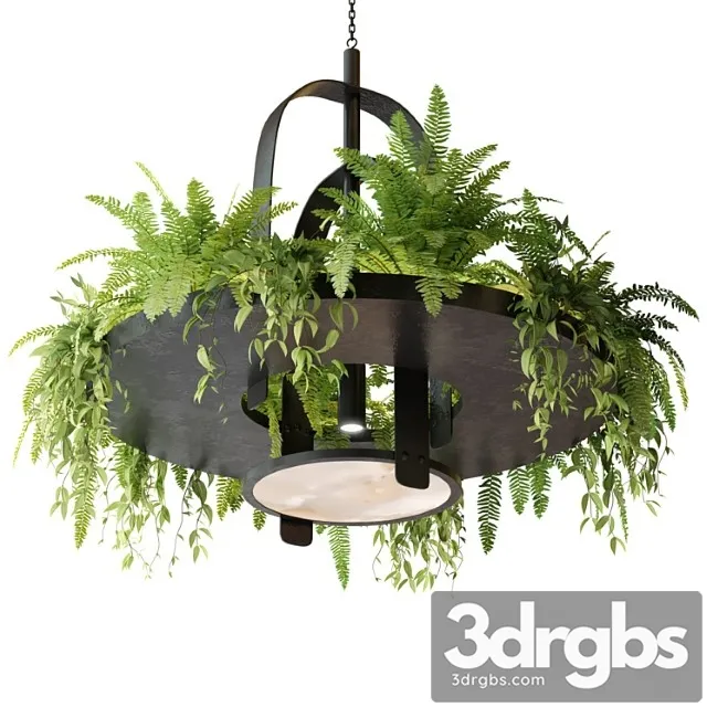 Hanging lamp with plants 3dsmax Download