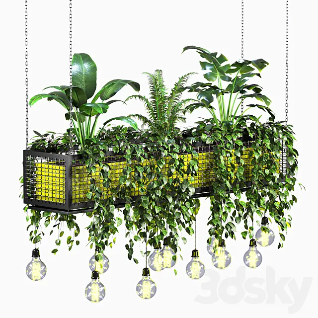 hanging plant 01 3ds Max