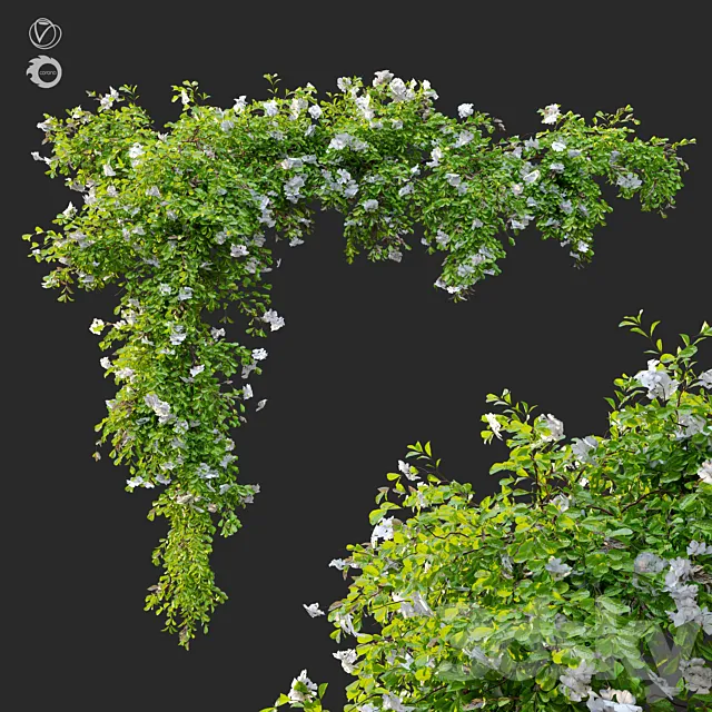 Hanging Plant 12 3DS Max Model