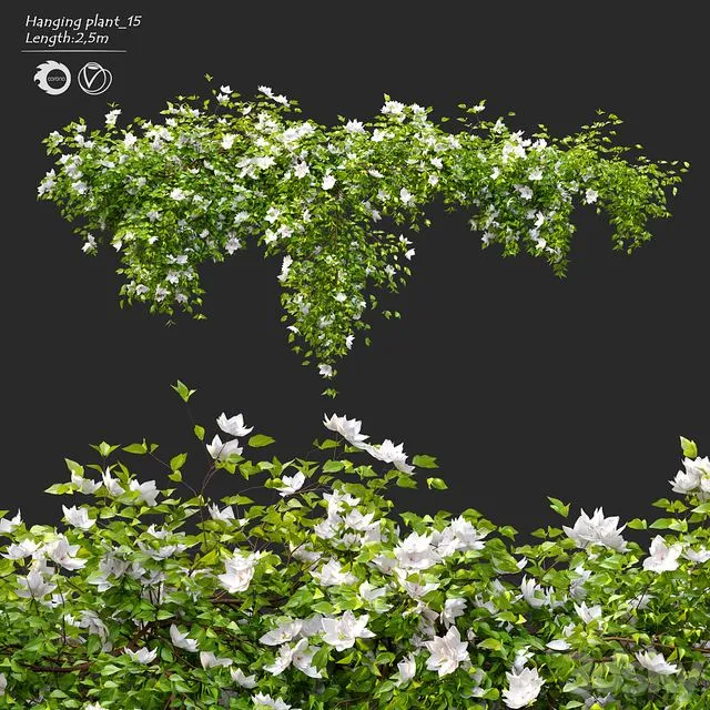 Hanging Plant 15 3dsMax Model