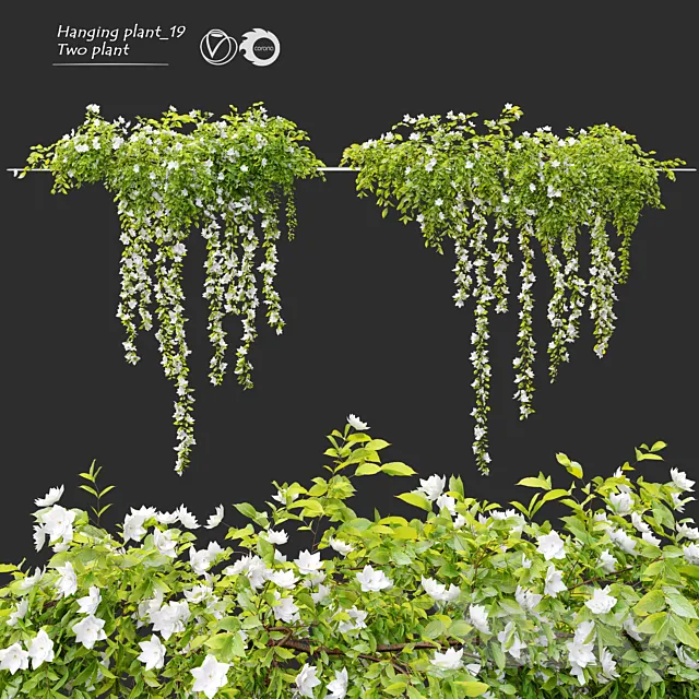 Hanging Plant 19 3DS Max Model