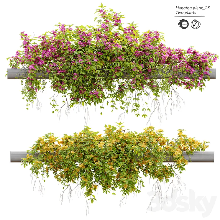Hanging Plant 23 3DS Max