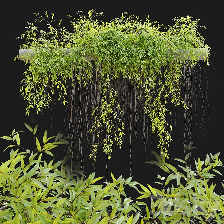Hanging Plant 25 3DS Max Model