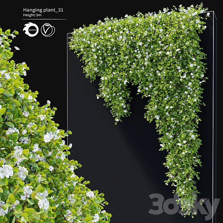 Hanging Plant 31 3DS Max Model