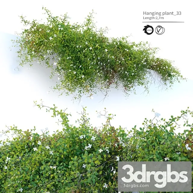 Hanging Plant 33 3dsmax Download