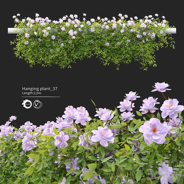 Hanging Plant 37 3dsMax Model