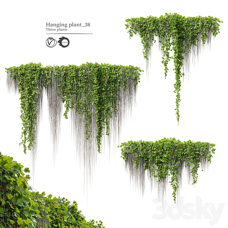 Hanging Plant 38 3DS Max