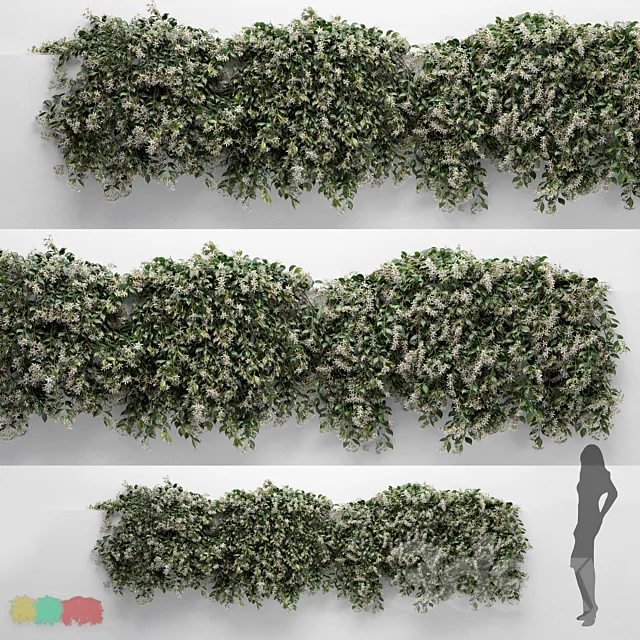 Hanging Plant – ChoisyaTernata – 3 Modular Pieces 3ds Max