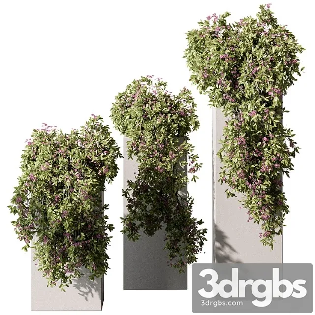 Hanging Plant in Box Outdoor Plants 454 3dsmax Download