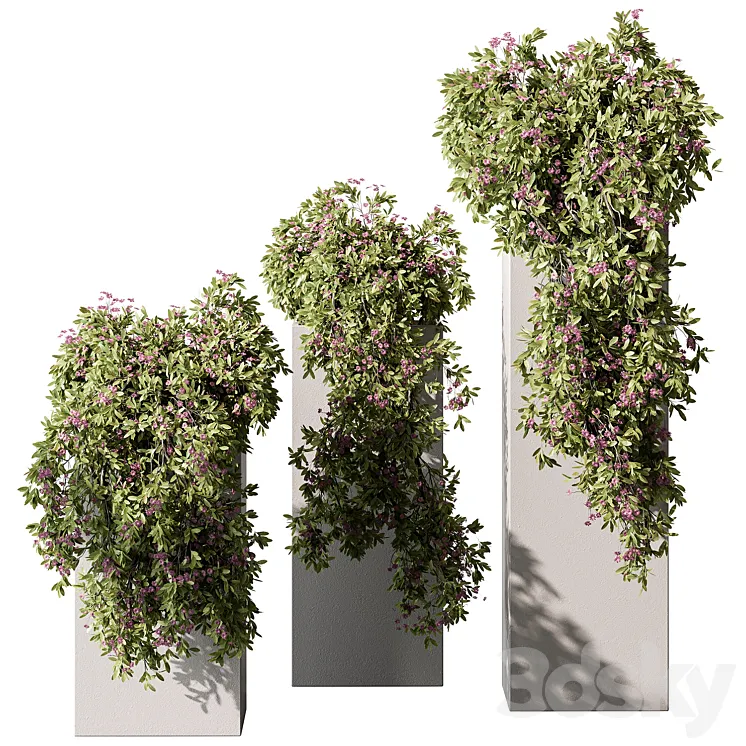 Hanging Plant in Box – Outdoor Plants 454 3DS Max Model
