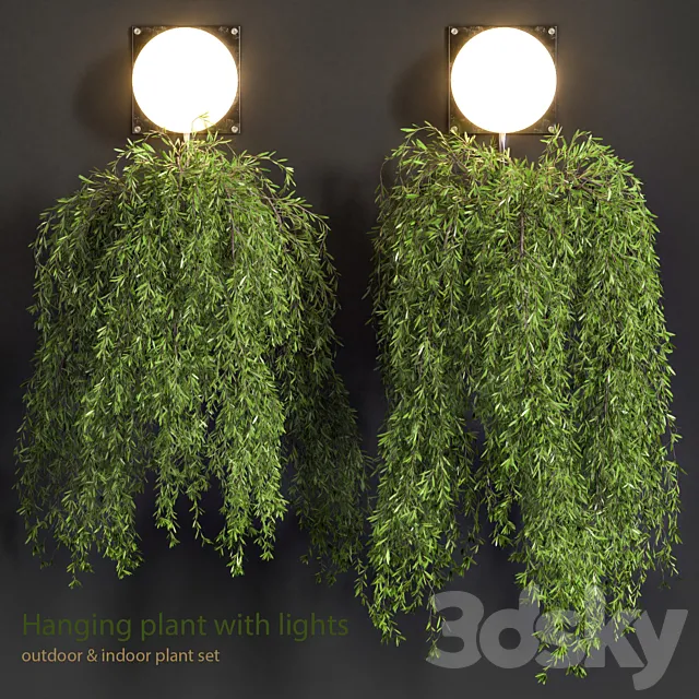 Hanging Plant with Lights 3DS Max Model