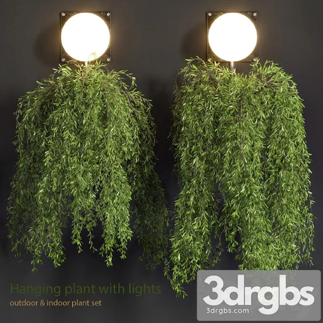 Hanging Plant With Lights 6 3dsmax Download