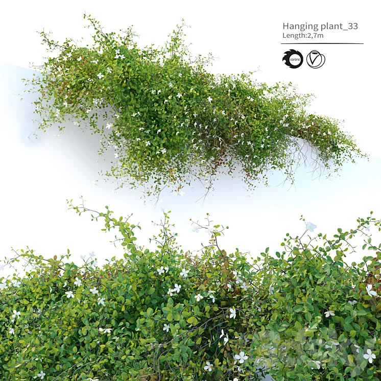 Hanging plant_33 3DS Max Model