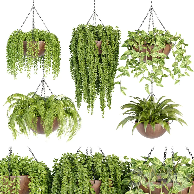 Hanging plants collection vol 33 3DS Max Model