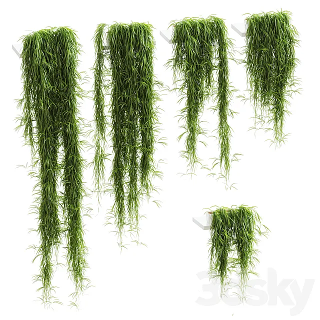 Hanging plants for shelves. 5 models. set 1 3ds Max