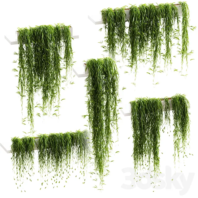 Hanging plants for shelves. 5 models. set 3 3DSMax File