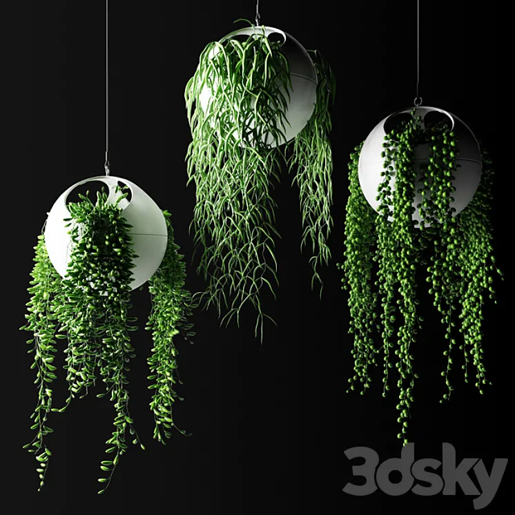 Hanging plants in flower pots | Hanged Plants in spherical hanging planters 3DS Max