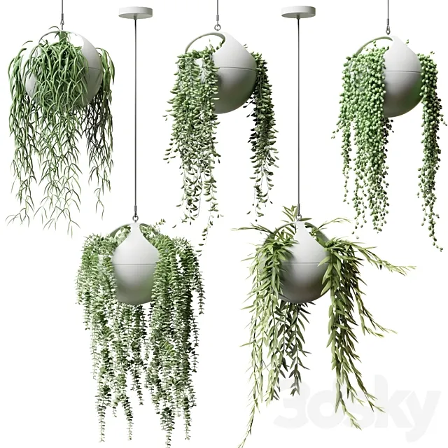 Hanging plants in flower pots | Hanged Plants in spherical hanging planters 3DSMax File