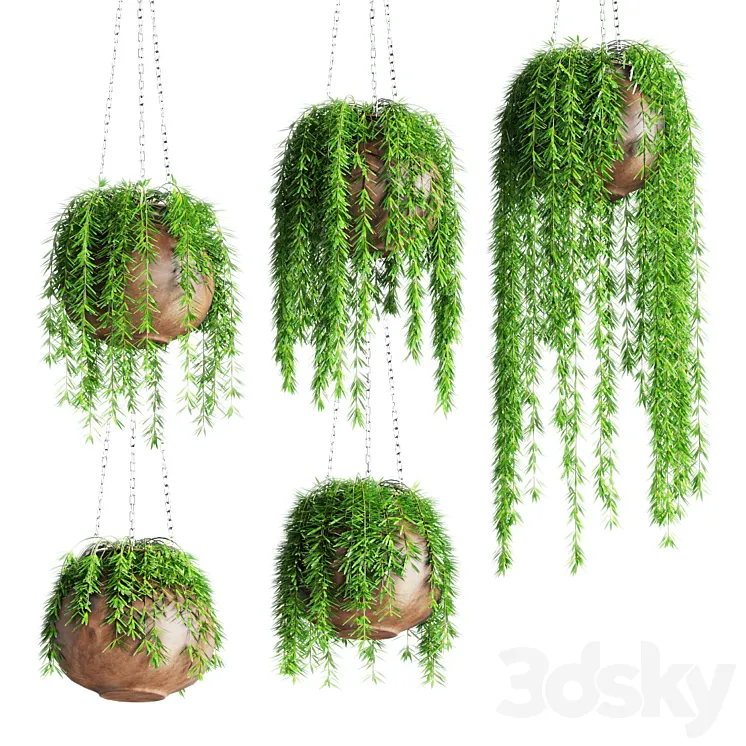 Hanging plants in pots 3DS Max