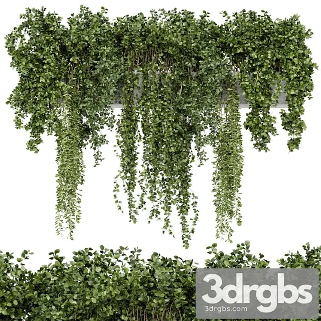 Hanging plants in rusty concrete pot – set 353