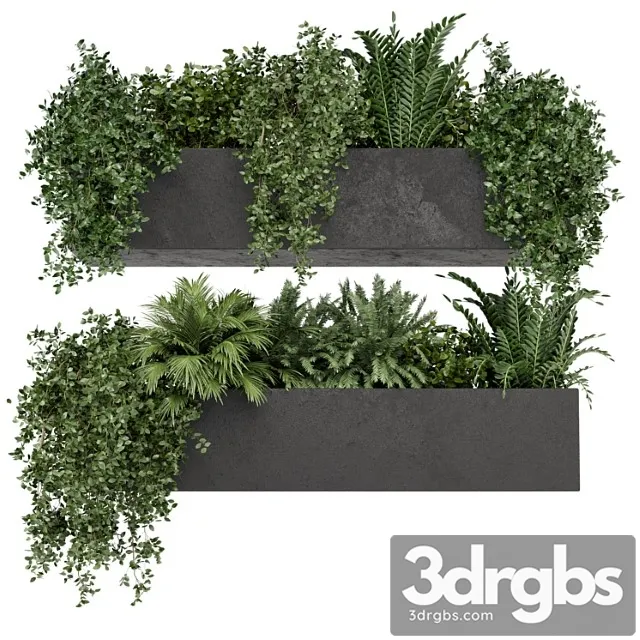 Hanging plants in rusty concrete pot – set 589