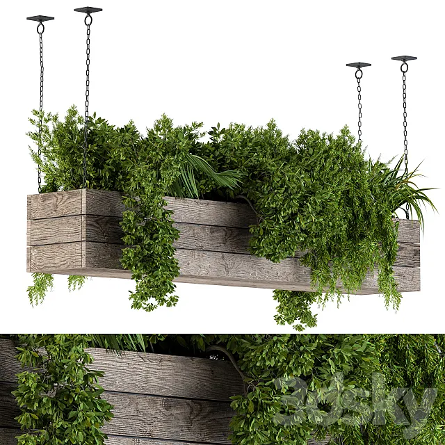 Hanging Plants in Wooden Box 3ds Max