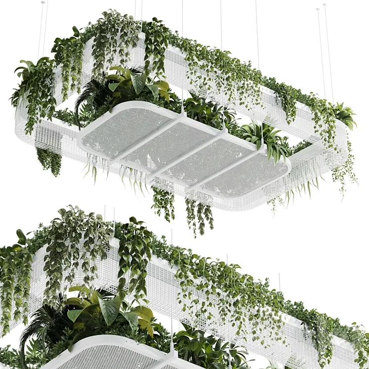Hanging plants – indoor plant 323 vray 3DS Max